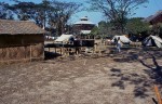 Camp at Nyaunlay  Pin