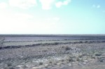 Paddy fields before the monsoon