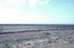 Paddy fields before the monsoon