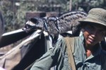 Soldier with semi tame Civet cat